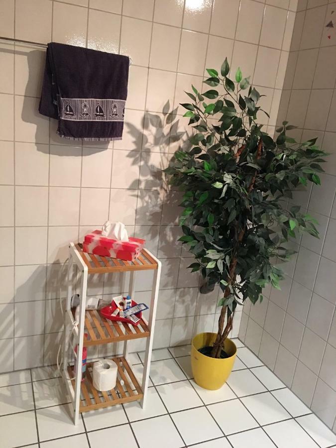 Ferienwohnung Martina ツェル・アン・デル・モーゼル エクステリア 写真